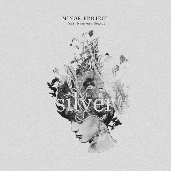 Minor Project silver