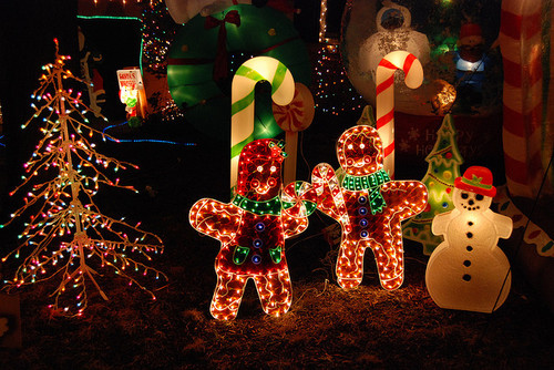 2152114760 ed91c9131b z large