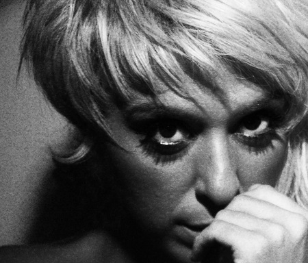 13282739 10153598901298365 1559053303 o