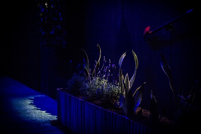 Polysomnogarden Δήμητρα Γώγουλου Focus MG 9682