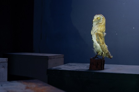 Τhe Book of Myself6Nyssos Vasilopoulos