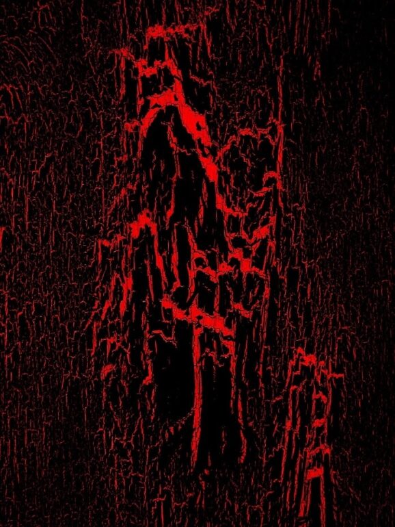 Εικαστικά | Κυριάκος Συφιλτζόγλου, “Πιθανότητα αίματος” | Ατομική έκθεση φωτογραφίας | Dépôt Art gallery