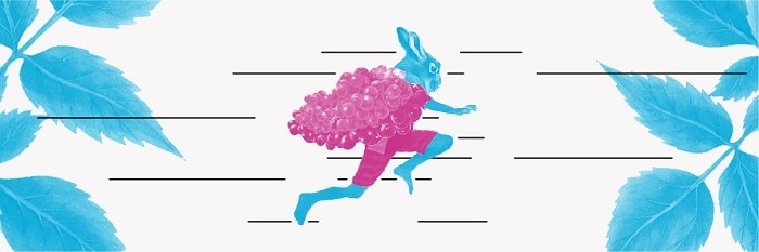 SNFestival | SNF RUN 23.06.2019 I Οι εγγραφές άνοιξαν!