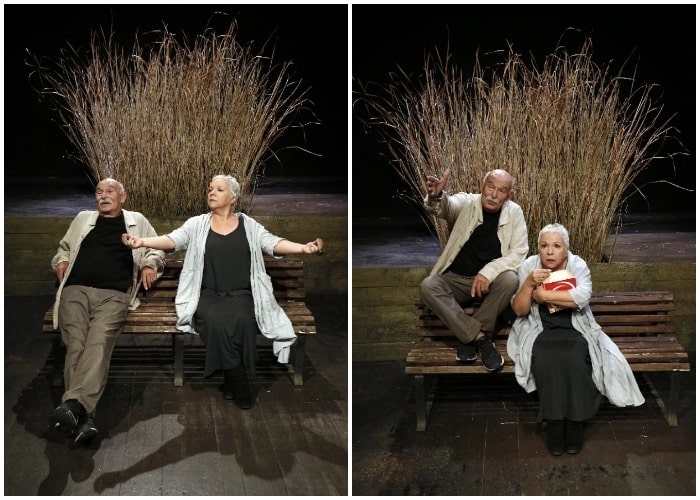 Είδαμε την παράσταση ‘Παραλλαγές Πάπιας’ στη Θεατρική Σκηνή