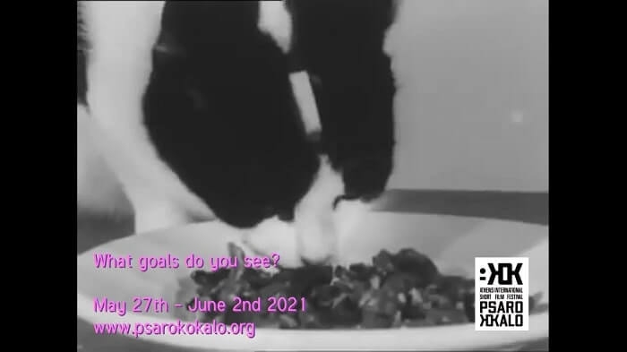 13o PSAROKOKALO Διεθνές Φεστιβάλ Μικρού Μήκους 27.5 – 2.6 | Θερινό ΤΡΙΑΝΟΝ και STELLAR Gastro Cinema