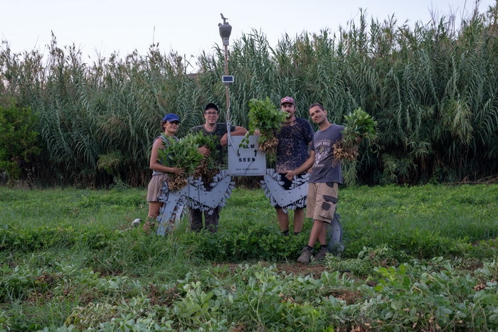 ΦΕΣΤΙΒΑΛ, ΚΙΝΗΜΑΤΟΓΡΑΦΟΣ ΣΤΗΝ ΤΗΝΟ – FILM SEED FESTIVAL, Hypercomf